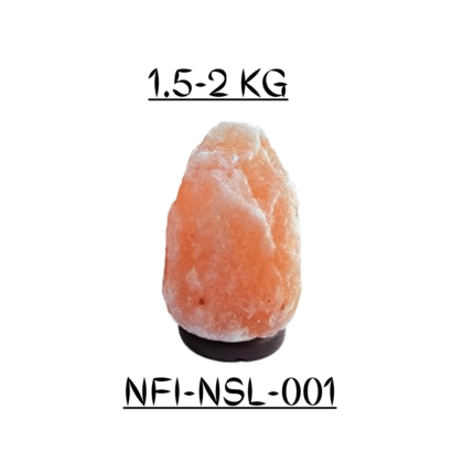 NFI-NSL-001