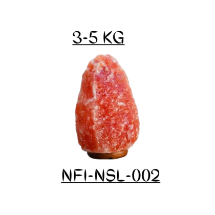 NFI-NSL-002