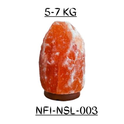 NFI-NSL-003