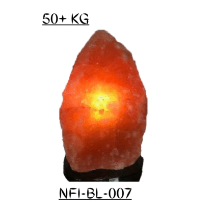 NFI-BL-007