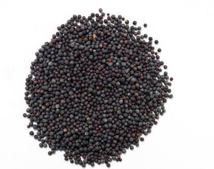 Black Mustard Seed Ground